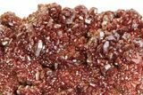 Dark Red Vanadinite Crystal Cluster- Morocco #223689-1